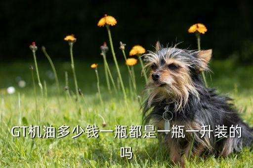 GT机油多少钱一瓶都是一瓶一升装的吗