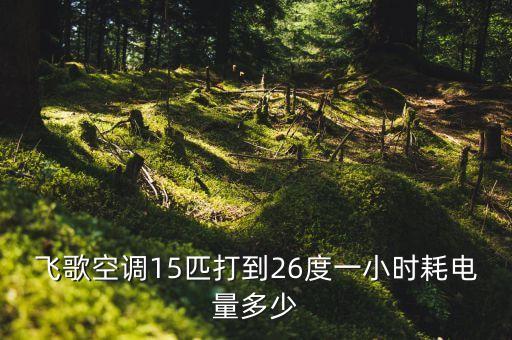 飞歌空调定时15是多少，空调定时15h是多长时间
