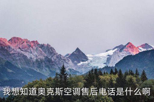 我想知道奥克斯空调售后电话是什么啊