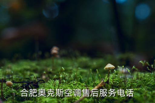 合肥奥克斯空调售后服务电话