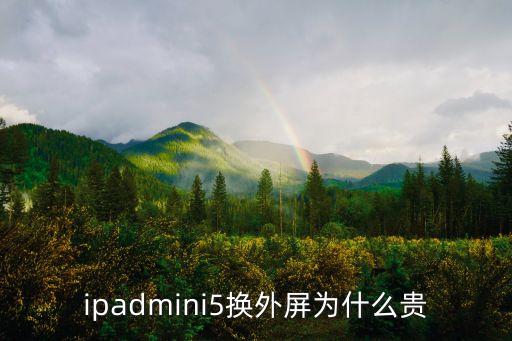 ipadmini5换外屏为什么贵