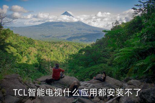 TCL智能电视什么应用都安装不了