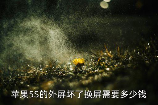 苹果5S的外屏坏了换屏需要多少钱