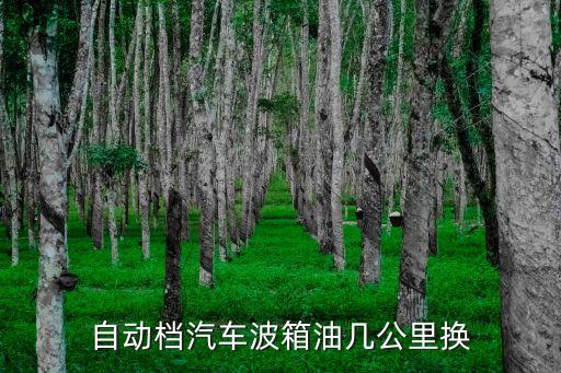 自动档汽车波箱油几公里换