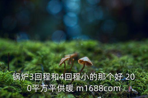 锅炉3回程和4回程小的那个好 200平方平供暖 m1688com