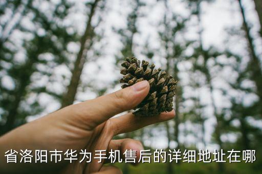 洛阳华为官方售后店电话是多少，华为手机售后服务电话是多少