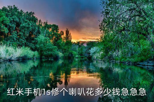 红米手机1s修个喇叭花多少钱急急急