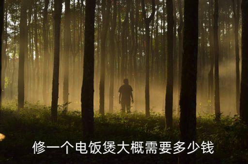 修一个电饭煲大概需要多少钱