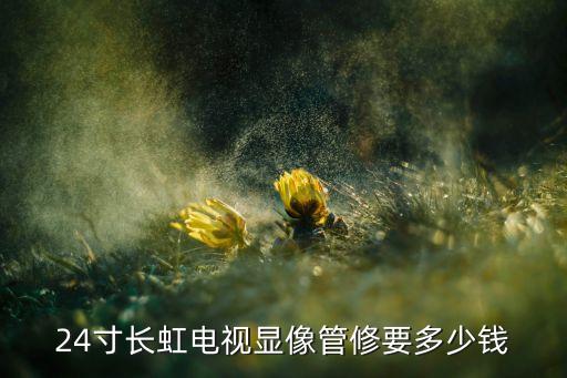 24寸长虹电视显像管修要多少钱