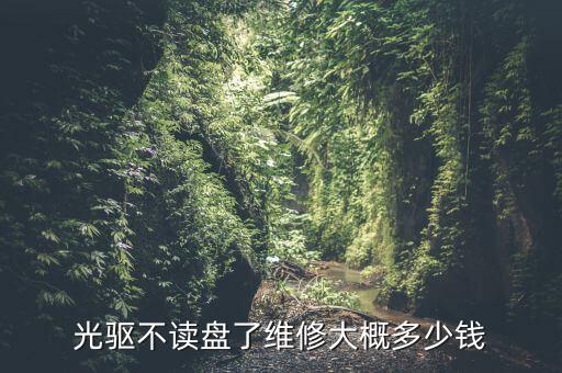光驱不读盘了维修大概多少钱