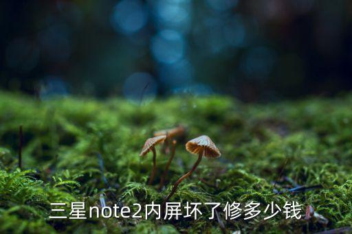 note2换内屏多少钱，小米note2内屏多少钱