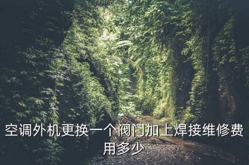 空调外机更换一个阀门加上焊接维修费用多少
