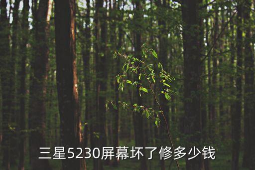 三星5230屏幕坏了修多少钱