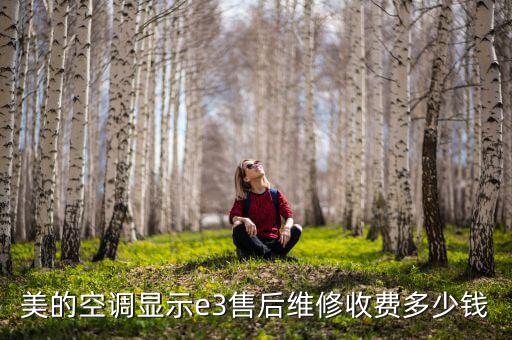 美的空调显示e3售后维修收费多少钱