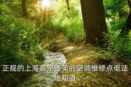 正规的上海嘉定区美的空调维修点电话谁知道