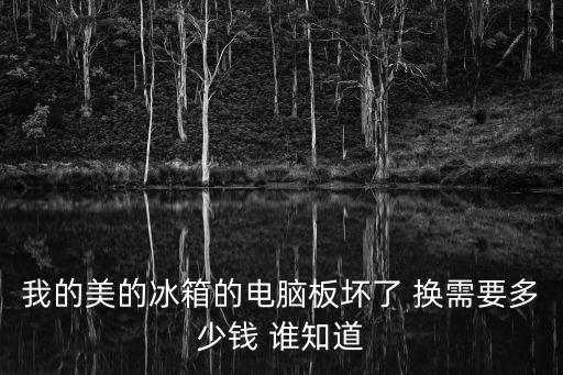冰箱电脑板维修多少钱，美菱冰箱电脑板坏了维修要多少钱
