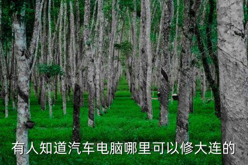 有人知道汽车电脑哪里可以修大连的
