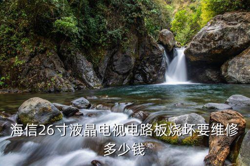 修电视行电路多少钱，电视开的时候闪一下就黑屏了是那坏了修要多少钱求大神帮助