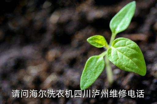请问海尔洗衣机四川泸州维修电话