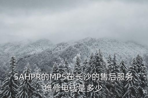 SAHPR的MP5在长沙的售后服务维修电话是多少