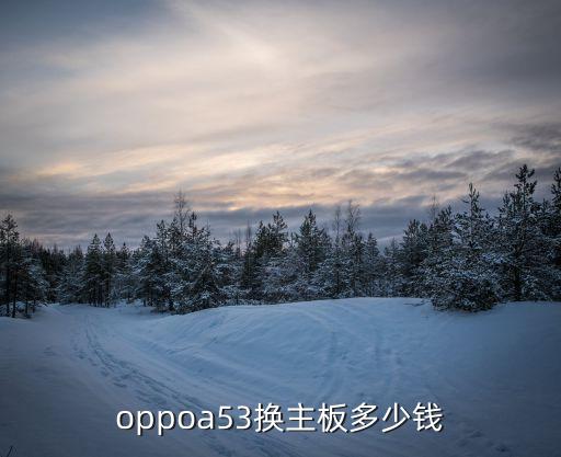 oppoa53换个主板多少钱，oppoA33换主板多少钱