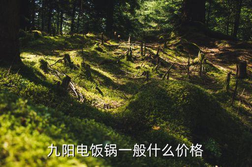 九阳售后电饭锅多少钱，求九阳售后的收费明细表
