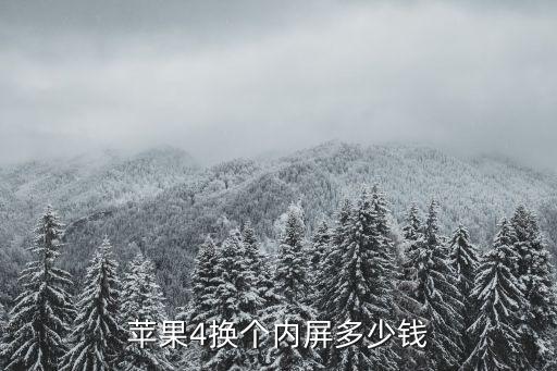苹果4换个内屏多少钱
