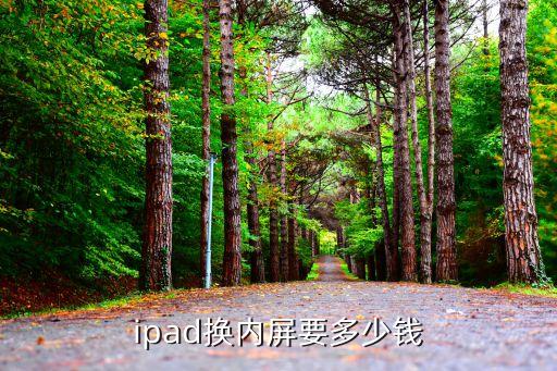 ipad换内屏要多少钱