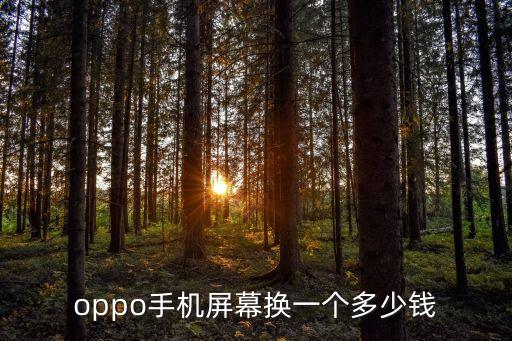 oppo手机屏幕换一个多少钱