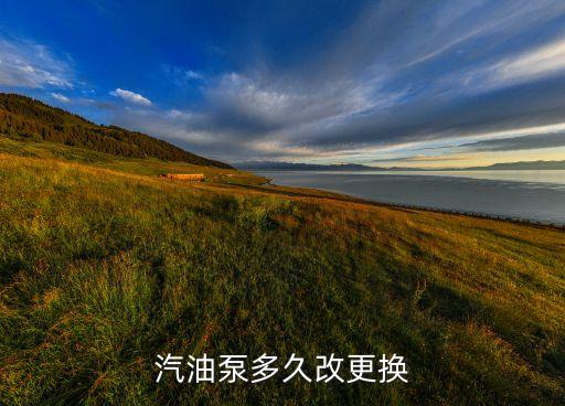 汽油泵多久改更换