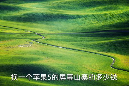 换一个苹果5的屏幕山寨的多少钱