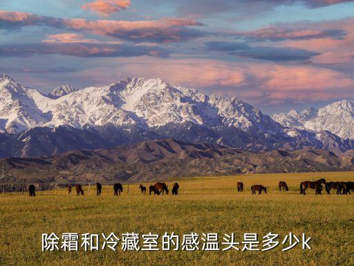 除霜和冷藏室的感温头是多少k