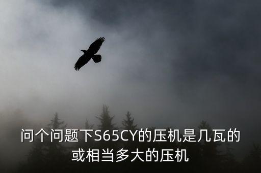 问个问题下S65CY的压机是几瓦的或相当多大的压机