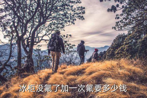 白雪冰柜加氟多少钱，冰箱加一次氟利昂多少钱
