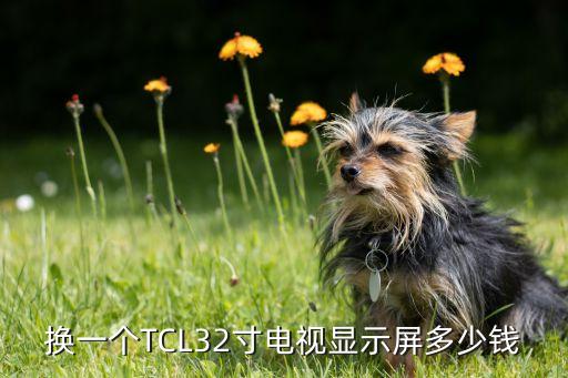 换一个TCL32寸电视显示屏多少钱