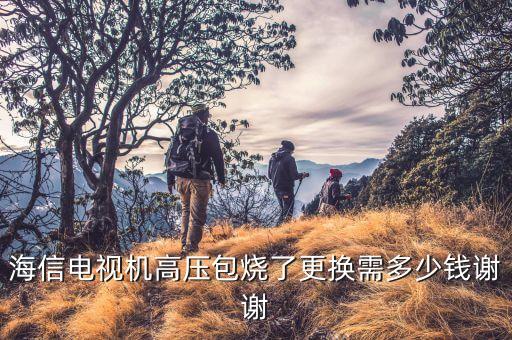 海信电视机高压包烧了更换需多少钱谢谢