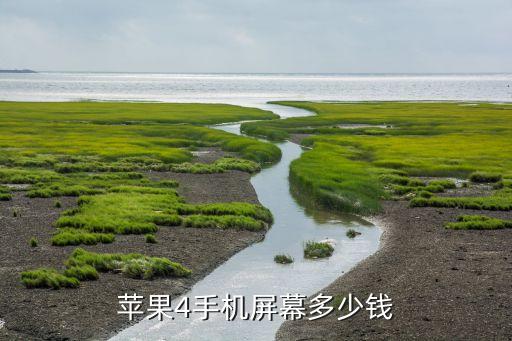 苹果4手机屏幕多少钱