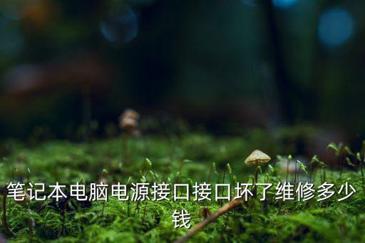 笔记本电脑电源接口接口坏了维修多少钱