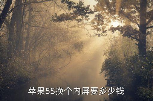 换5s内屏多少钱，苹果5S换个内屏要多少钱