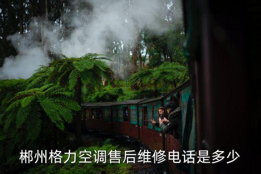 郴州格力空调售后维修电话是多少