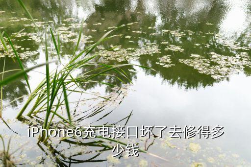 iPhone6充电接口坏了去修得多少钱