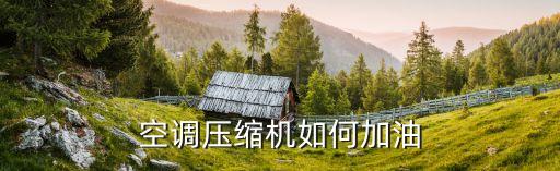 格力空调压缩机多久加油，空调压缩机怎么加油