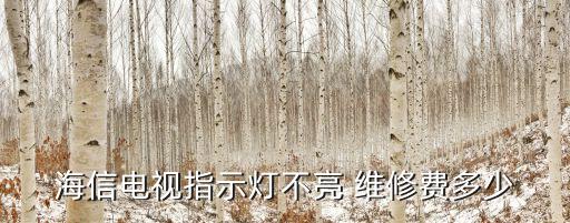 海信电视指示灯不亮 维修费多少