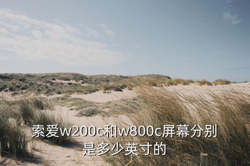 索爱w200c和w800c屏幕分别是多少英寸的