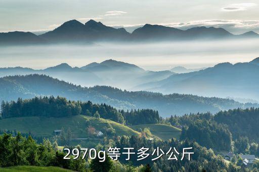2980g是多少公斤，2970g等于多少公斤