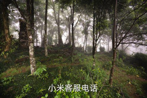 小米客服电话