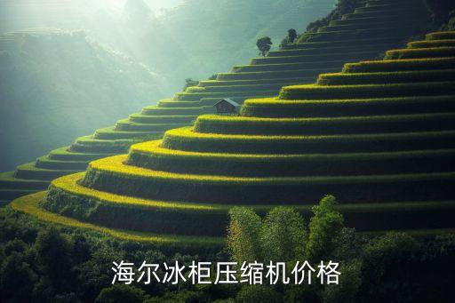 海尔冰柜压缩机价格