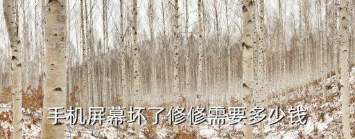 手机屏幕坏了修修需要多少钱