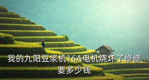 豆浆机电机烧了换一下多少钱，豆浆机换电机多少钱