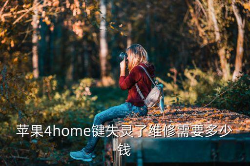 4home键维修要多少钱，苹果4home键失灵了维修需要多少钱